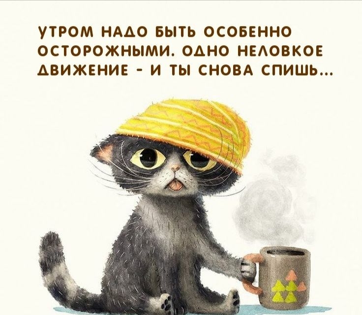 УТРОМ НАДО БЫТЬ ОСОБЕННО ОСТОРОЖНЫМИ ОАНО НЕАОВКОЕ ДВИЖЕНИЕ И ТЫ СНОВА СПИШЬ
