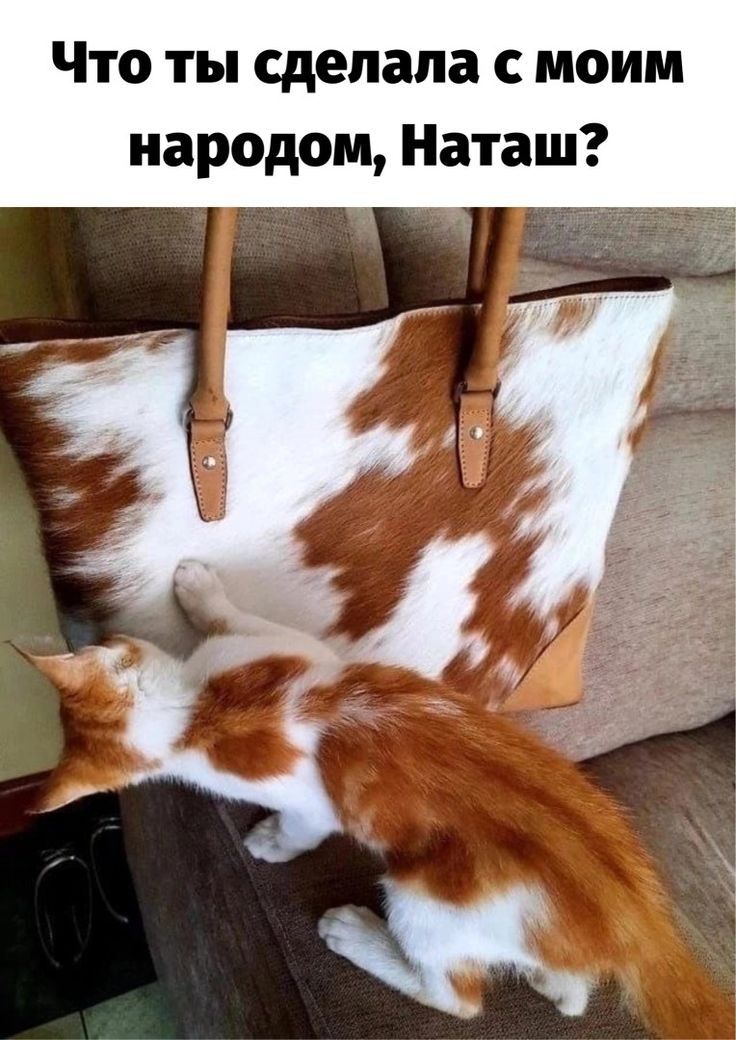 Что ты сделала с моим народом Наташ