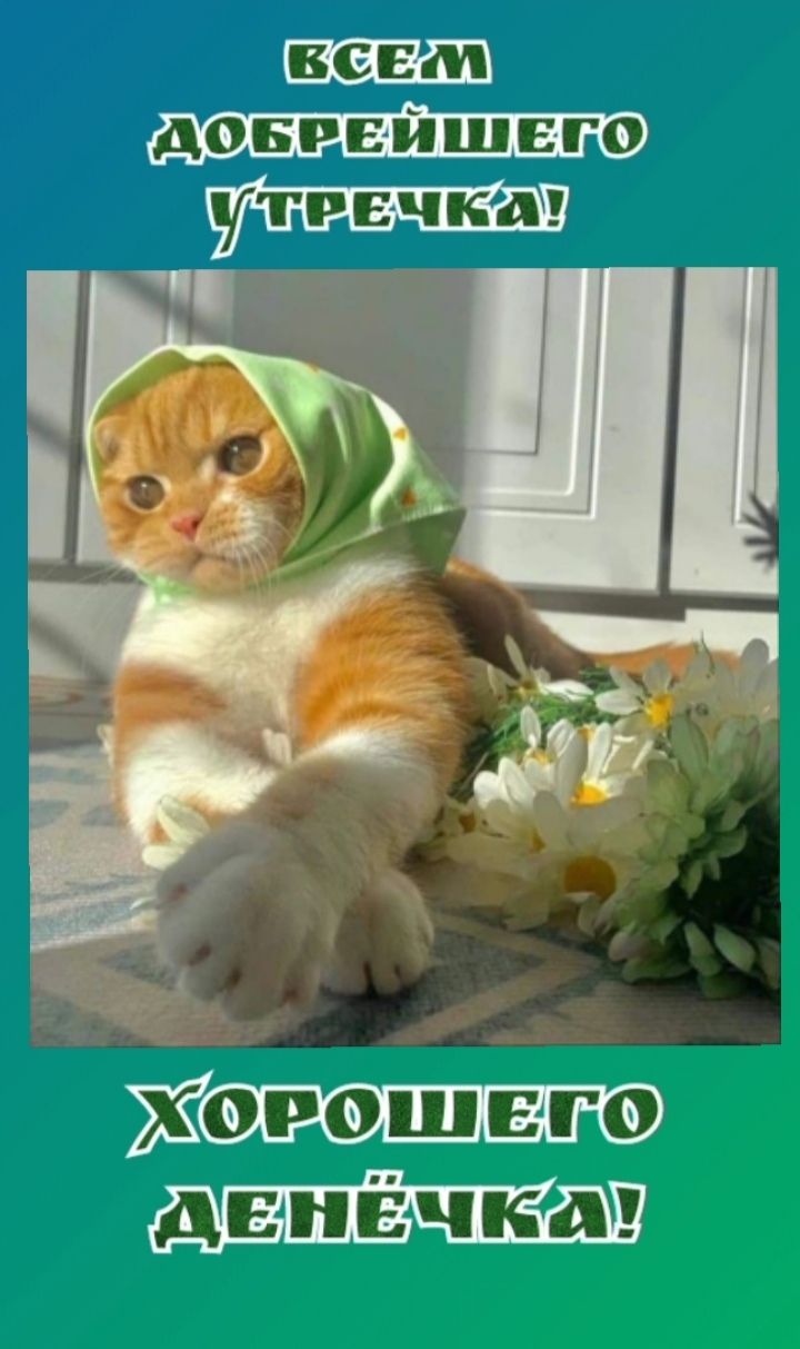 БСЕЛ