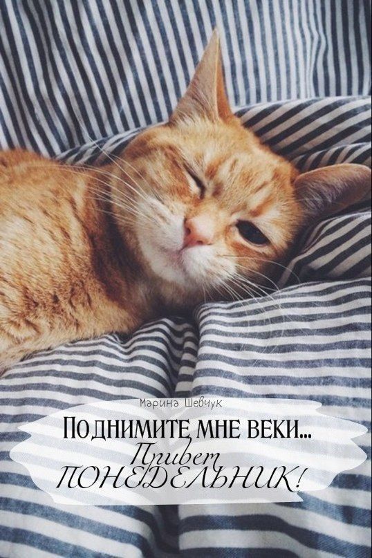 ___ ш _5 ПОЛННМИТЁМНЕ ВЕКИ ЛЦ 341 ЛОНЦЫийдШы
