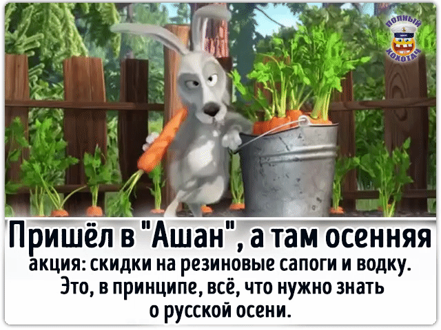 Пришел в Ашан а там осенняя акция СКИДКИ на РЕЗИНОВЫЕ ЕВПОГИ И водку ЭТО В принципе ВСЁ ЧТО нужно ЗИЩЬ русской псени