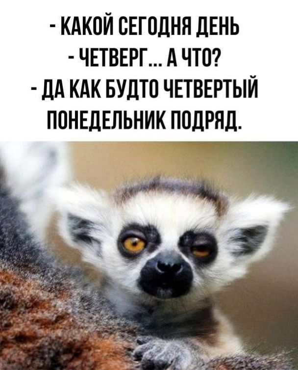 КАКПЙ СЕГПДНН ЛЕНЬ ЧЕТВЕРГ А ЧТО дд КАК БУДТП ЧЕТВЕРТЫЙ ППНЕДЕЛЬНИК ПОДРЯД