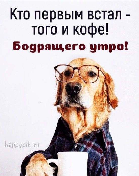 КТО первым встал того и кофе Боурпщего утро