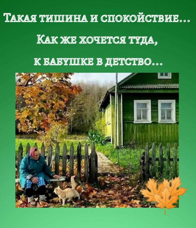 щит ишшпспоюйсгвив Шпшпсящд кшшпвтспо 535