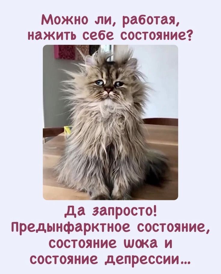 Можно ли работая нажить себе состояние да запросто предынфарктное состояние состояние шока и состояние депрессии