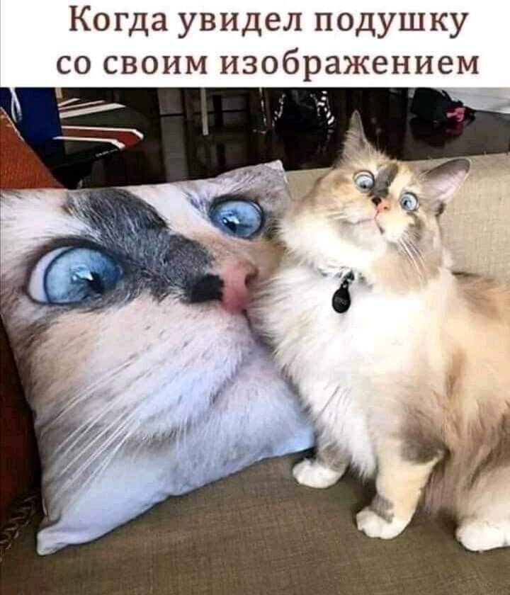 Когда увидел подушку