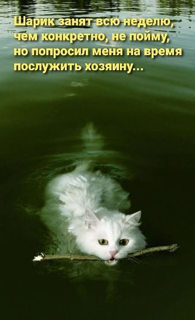 _ 3 ишцщыцг Бы шизлш и