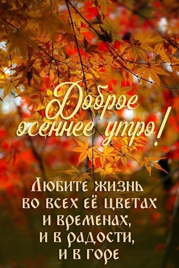 АюВите жизнь во всех её цветах и временах и в радости и в горе