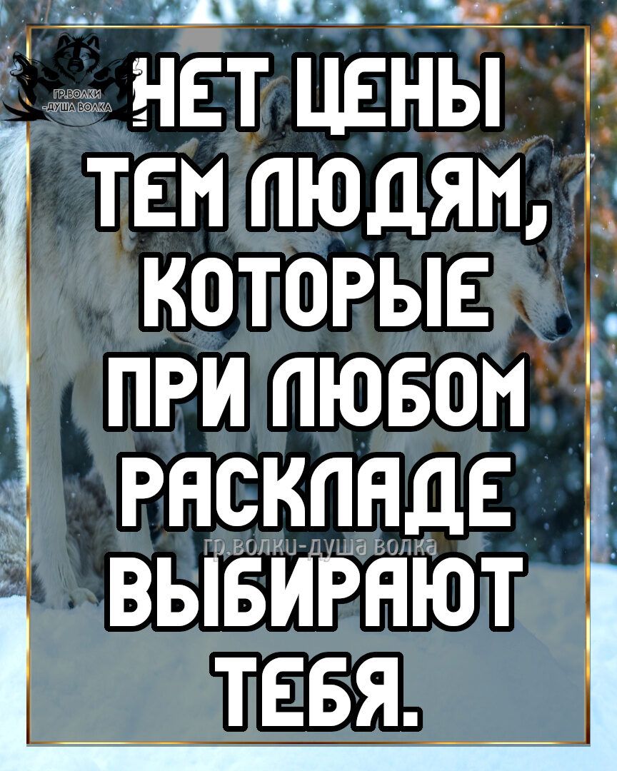 Ц Е _ нет ЦЕНЫ тен пюдян которые при пювон ряскпндс вывирнют тввя _