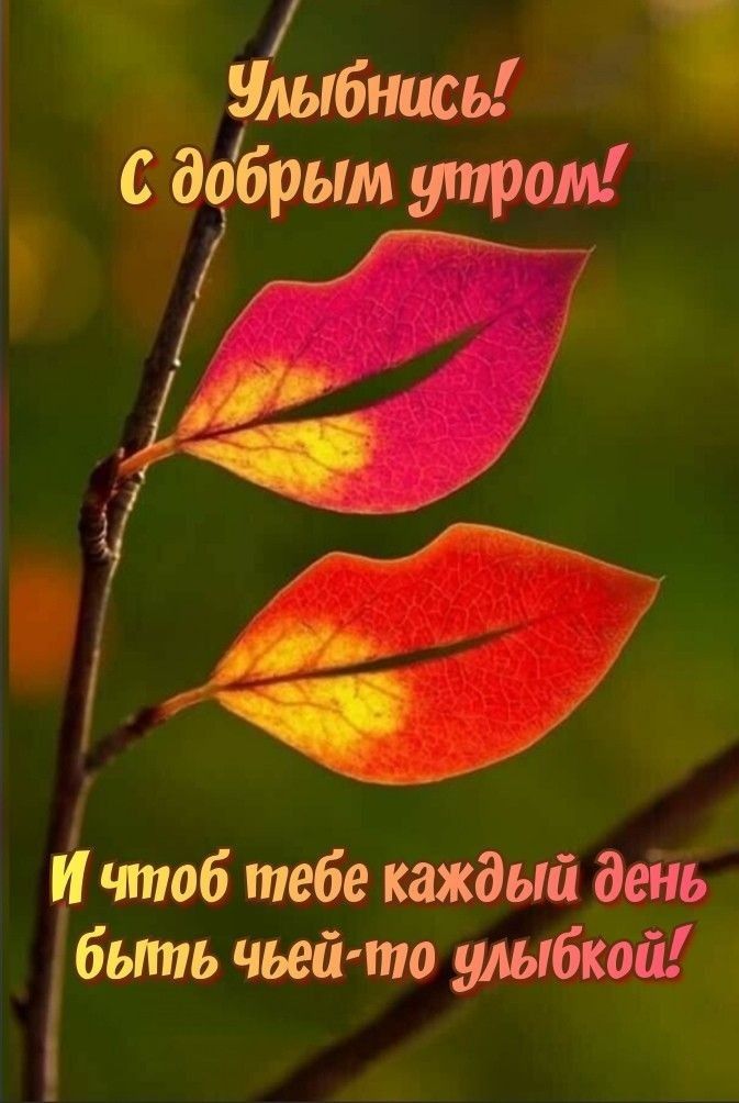 улыбнись с добрым утром Йчтоб тебе каждый день быть чьей то улыбкой