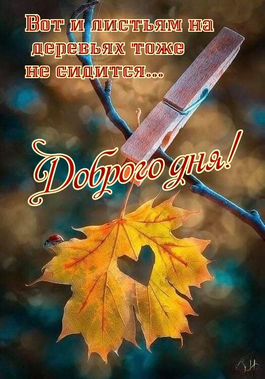 13 и