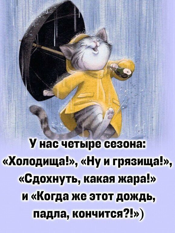 У на четыре сезона Хоподища Ну и грязища Одохнуть какая жара и Когда же этот дождь падпа кончится