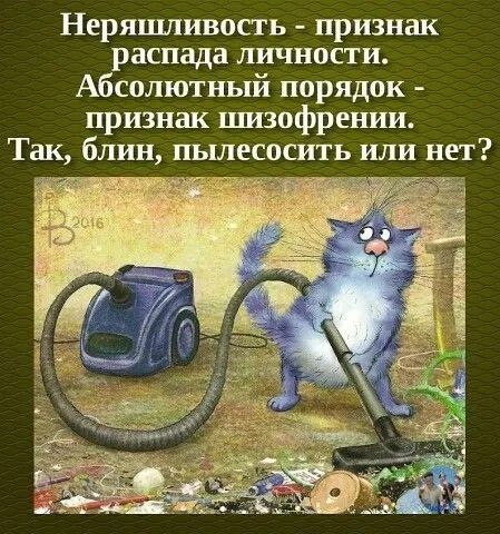 Неряшливосгь признак распада личности Абсолютный порядок признак щзофрении Так блин пьшесосить или нет