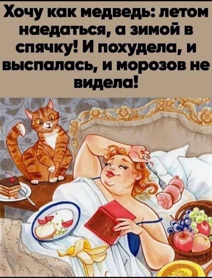 Хочу как медведь летом маедаться зимой в спячку И похудела м выспалась и мертв не видела