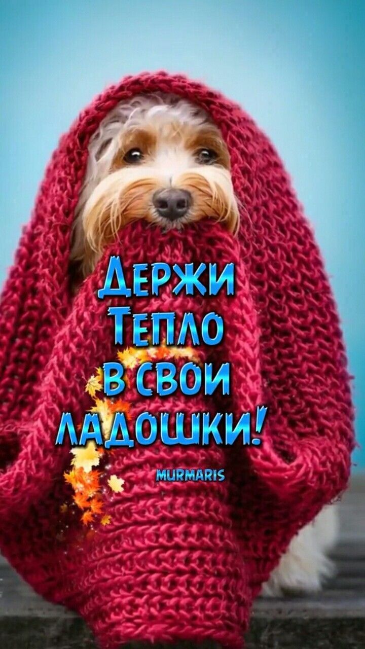 держи Твпдо _в свои Ашдошки жившим