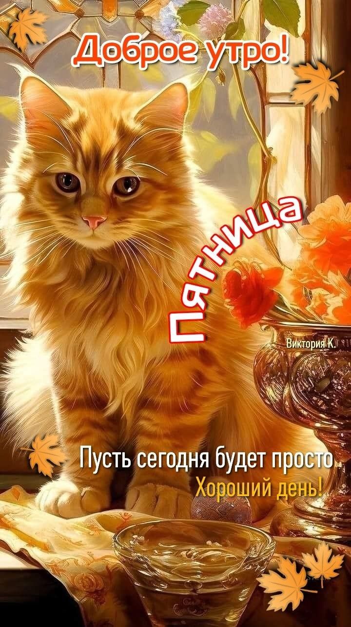 Пусть сегодня будет пріЬ