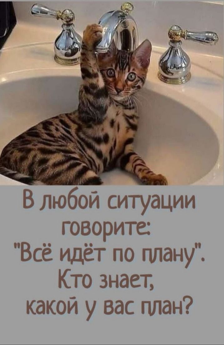 говорите Всё идёт по плану Кто знает какой у вас план