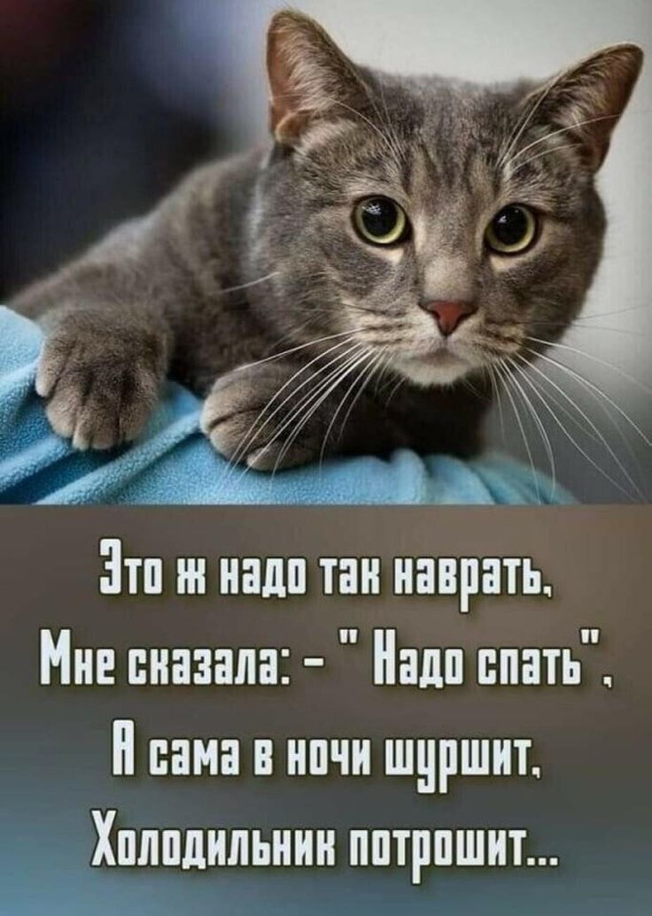 Эти ш надп таи иннрать Мии винила нлп спать сама в нпчи шуршит ХПЛПЩШШИН ППТРПШИТ