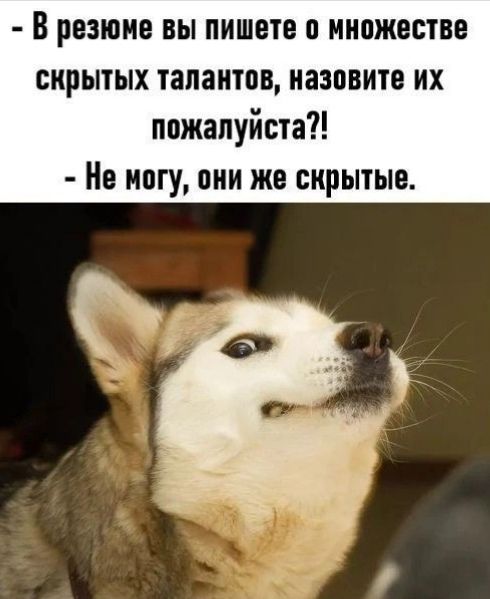 В РЕЗЮМЕ ВЫ пишете П МНПЖВСТВЕ скрытых талантов назовите их пожалуйста Не могу они же скрытые