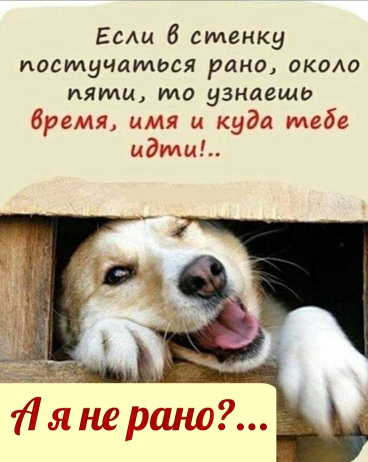 Если 6 стенку постучаться рано окою пяти то узнаешь бремя имя ы куда тебе идти