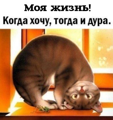 Моя жизнь Когда хочу тогда и Аура