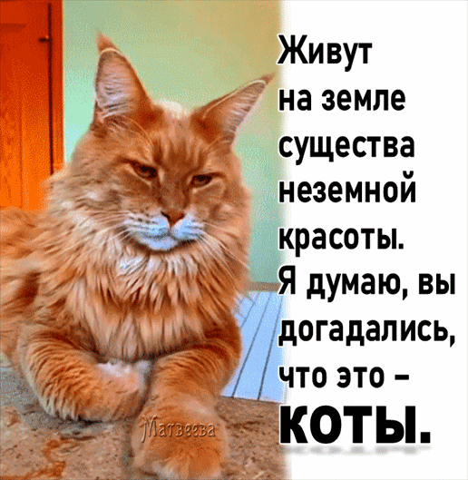 Живут _ _ _ на земле существа неземной красоты _ёхя думаю вы догадалисы