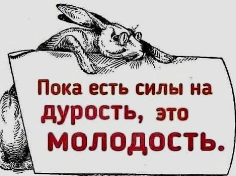 Пока еь силы на дурость это молодость