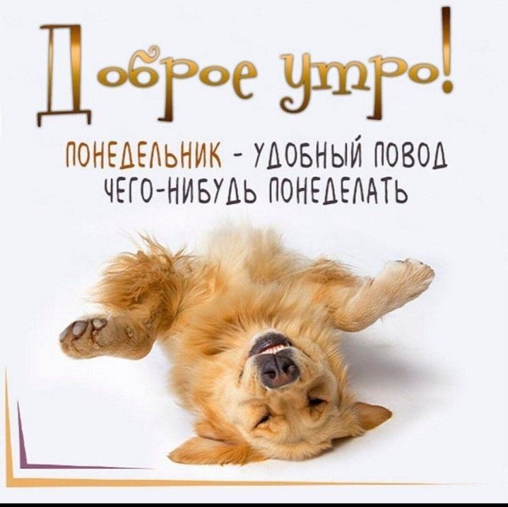 п _ дфгое поншдьник товный повод чгго нившь ПОНЕАЕААТЬ нъгёе _Ё