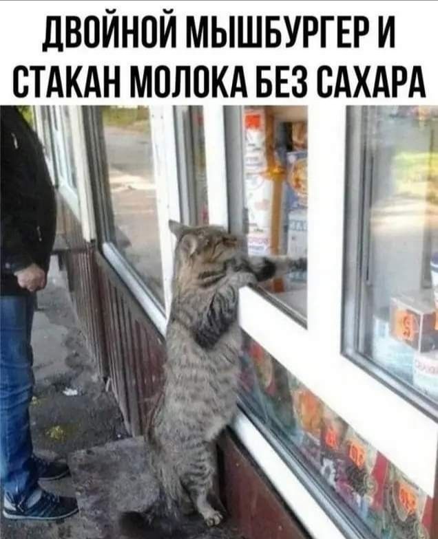 ЛВПЙНПЙ МЫШБУРГЕР И СТеКАН М0Л0К1 БЕЗ САХАРА Г 4