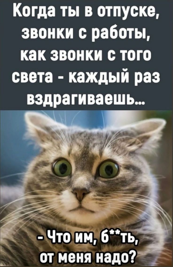 Когда ты в отпуске звонки с работы как звонки с того света каждый раз вздрагиваешь от меня надо 1