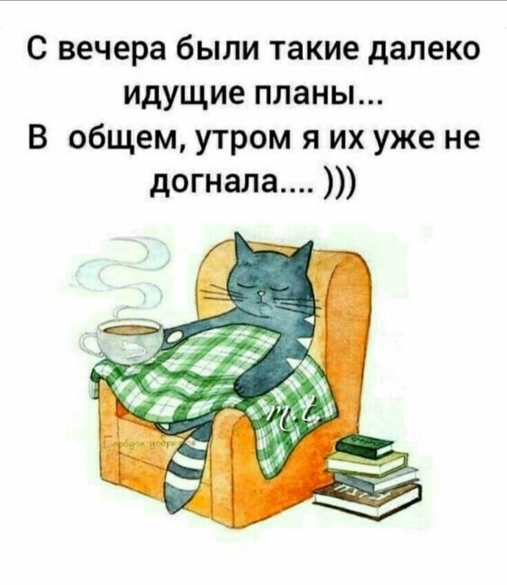 с вечера были такие далеко идущие планы В общем утром я их уже не догнала