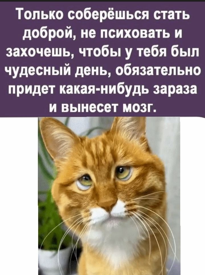 Только соберёшься стать доброй не психовать и захочешь чтобы у тебя был чудесный день обязательно придет какая нибудь зараза и вынесет мозг