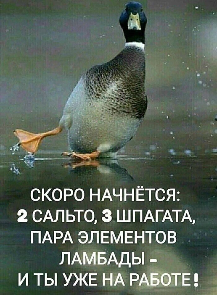 скоро НАЧНЁТСЯ САЛ ьто з ШПАГАТА ПАРА элвмвнтов ЛАмвАды и ты УЖЕ НА РАЫЕГЕ