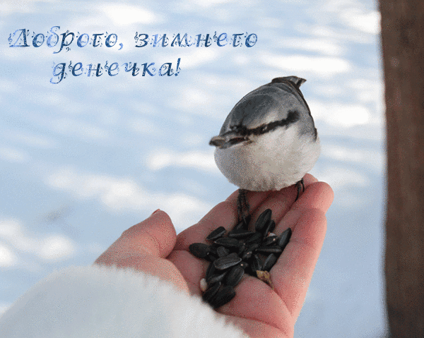 Данія ззиъ нб ге чтит ика