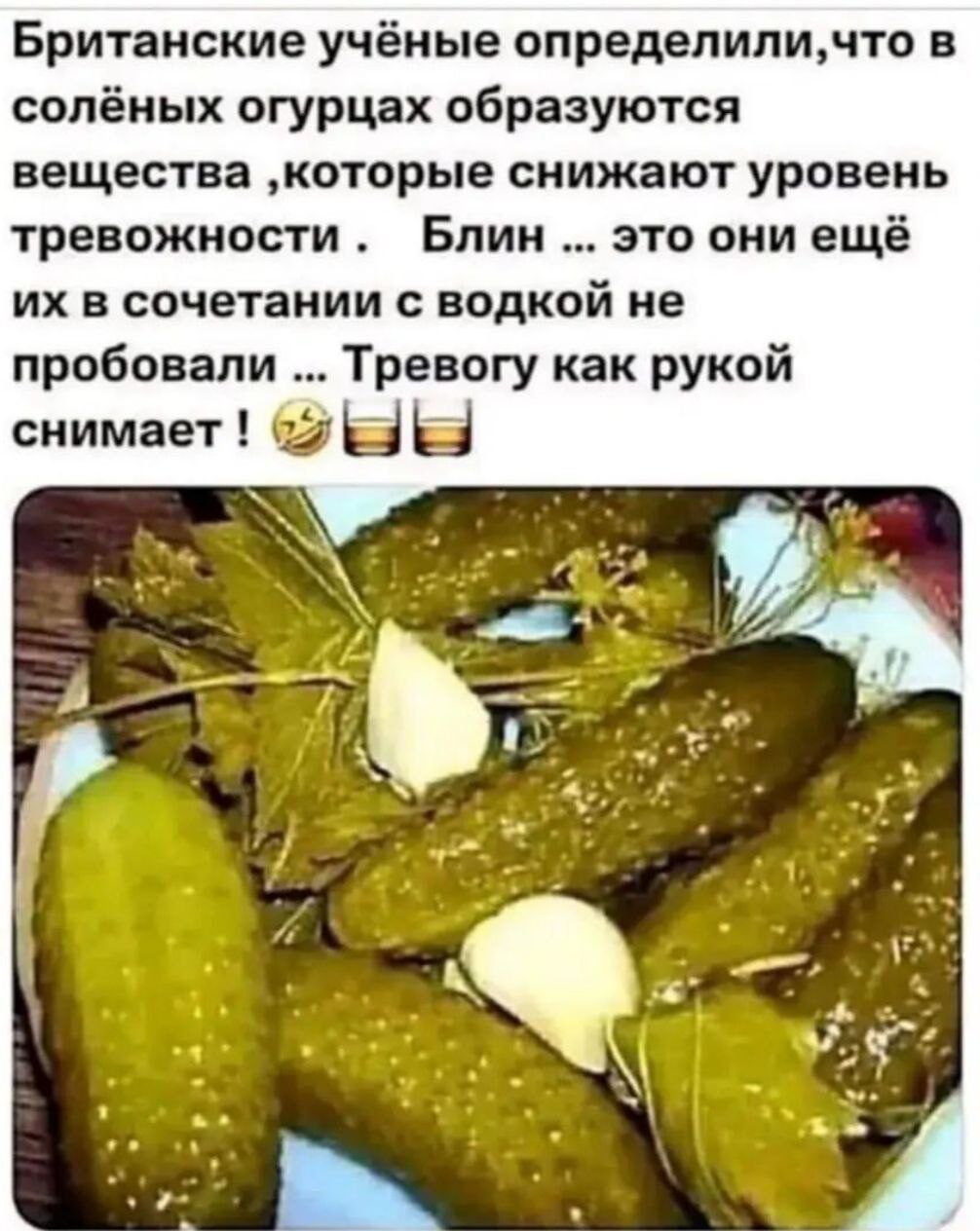 Британские учёные определили по в солёных огурцах образуются вещества которые снижают уровень тревожности Блин это они ещё их в сочетании с водкой не пробовали Тревогу как рукой снимает в Щ Ы