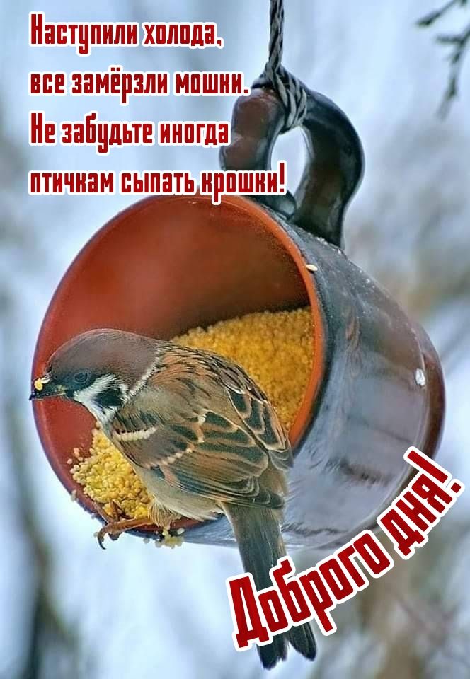 ЕЩЕ ЗПМЕЁНЗЛН д тііндьтъэ НШ пн 1