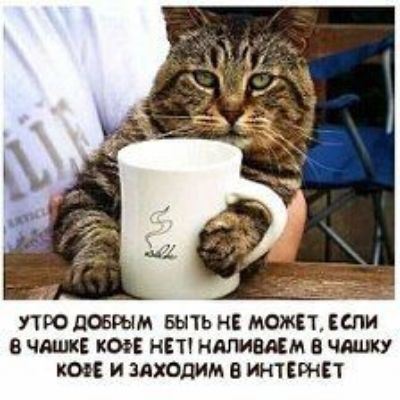 УТРО ловим БЫТЬ нЕ МОЖЕТ или чаши КОФЕ НЕТ ндпишм в чашку коп и заходим в интсрнп
