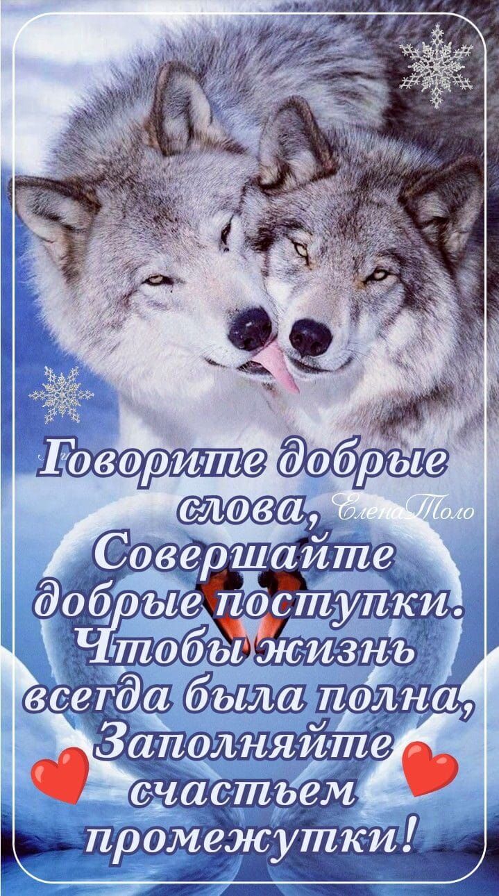 А Заолчня йте