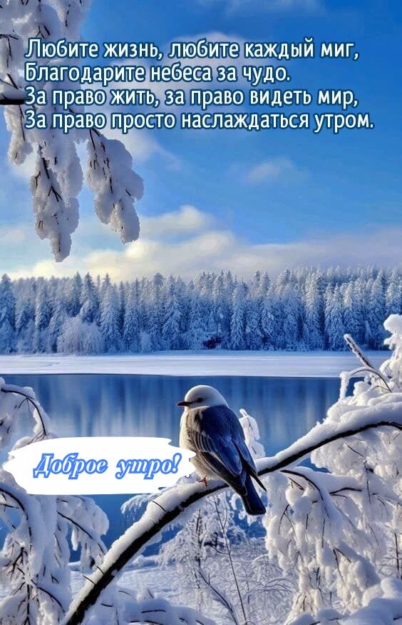 Люетешшщц пёщійшщ БЬЁодаритео 336 ЁЁЬ
