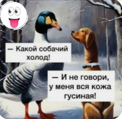 Какой собачий холод И не говори а у меня вся кожа гусиная