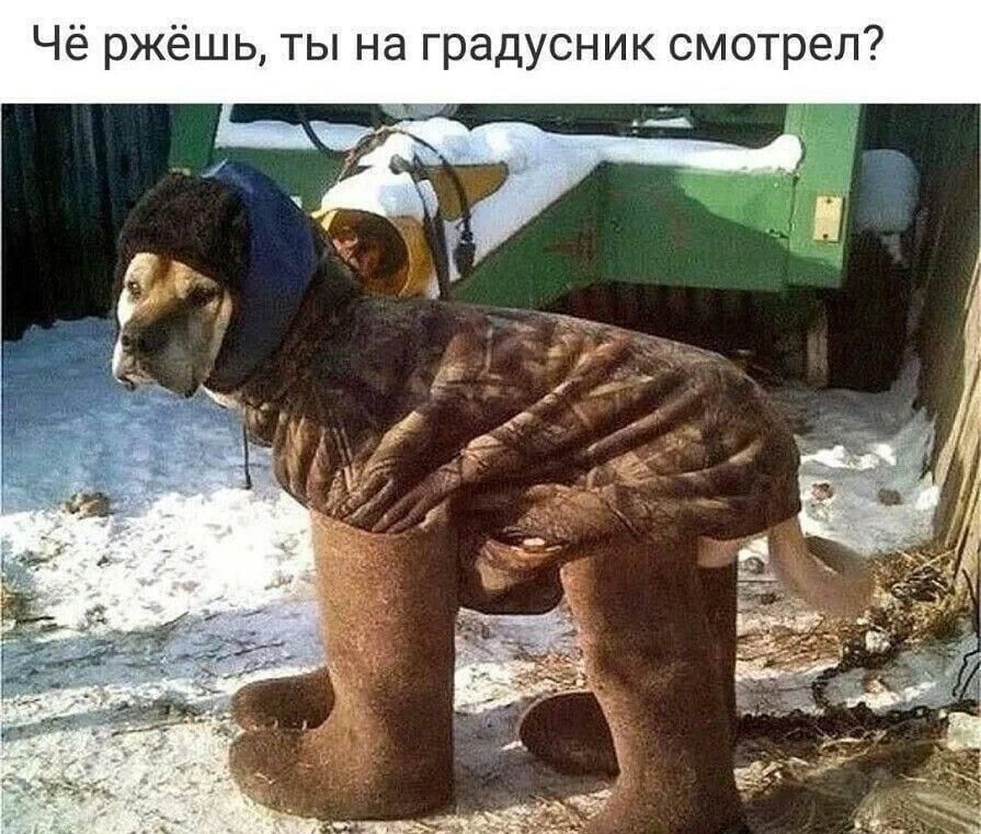 Чё ржёшь ты на градусник смотрел