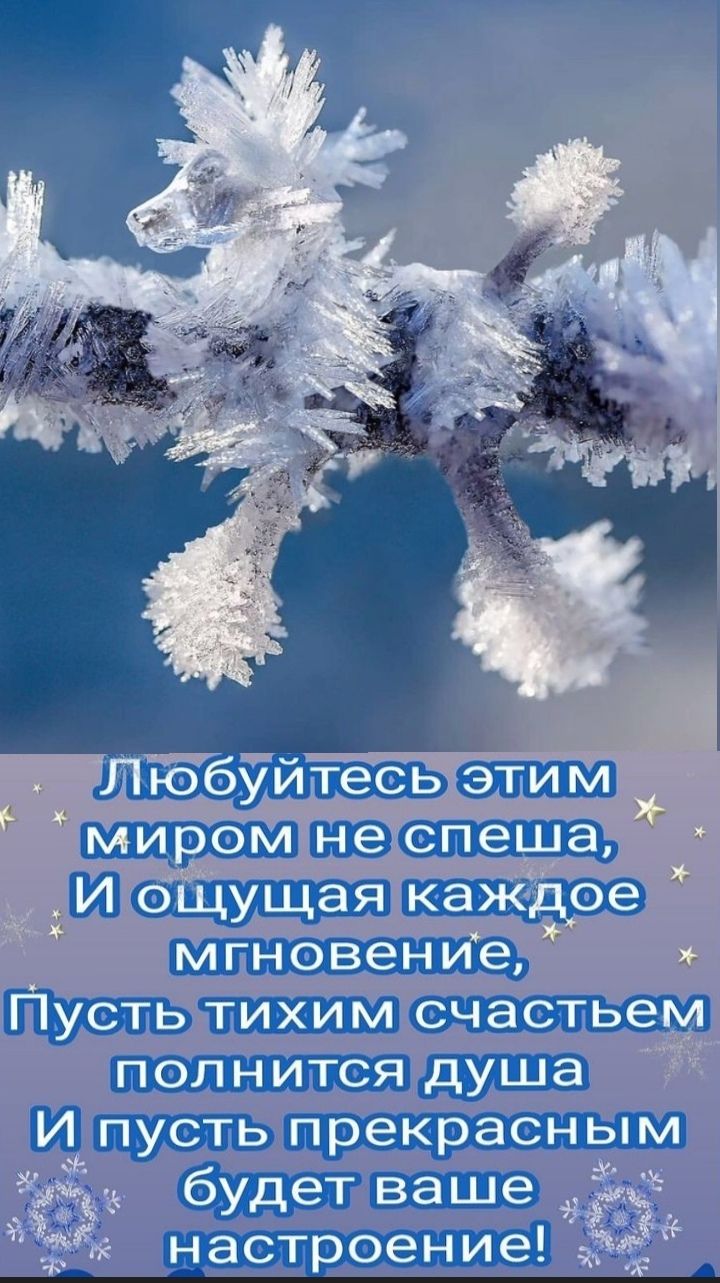 Любуите миром не спеща И ОЩУщая каждое мгновение усть тихим счастьем полнится душа И пусть прекрасным будет ваше 9333 настроение