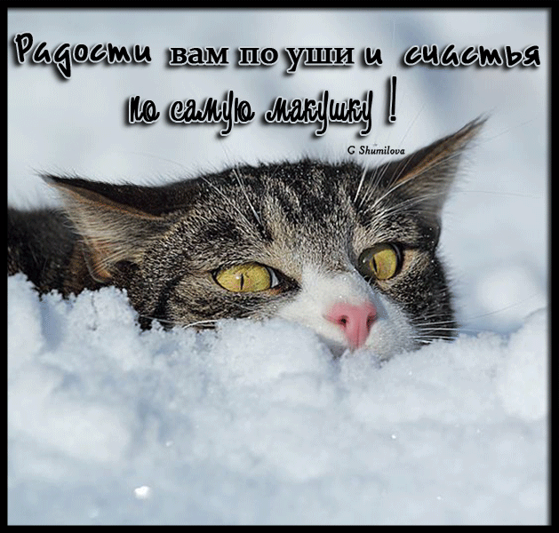 ааьощш __вам м аьщщи