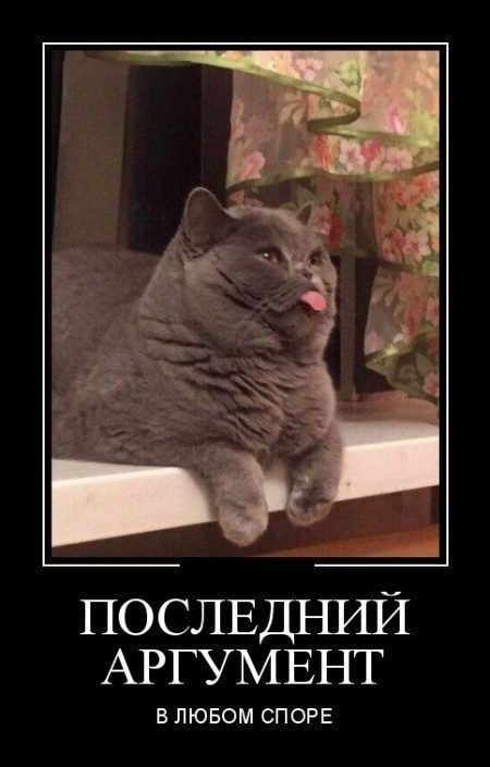 и ПОСЛЕДНИЙ АРГУМЕНТ ВЛЮБОМ СПОРЕ