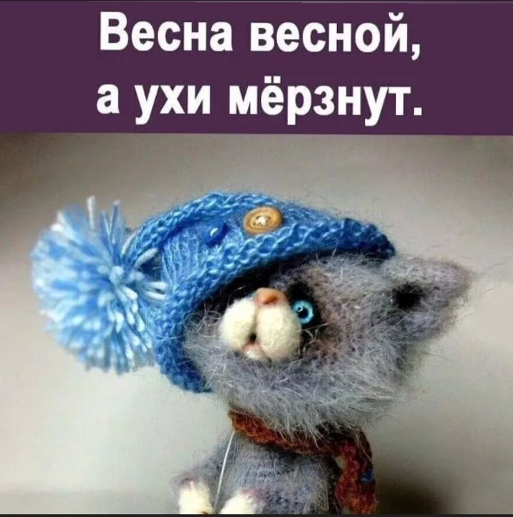 Весна весной а ухи мёрзнут