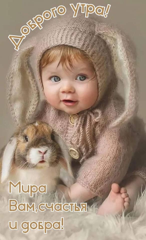 Мирр Вад и 9овро