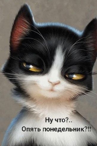 Ну что Опять понедельник Щ_ и Х
