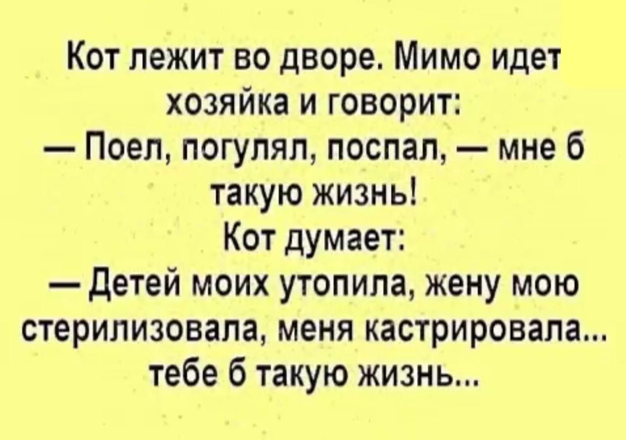Кот лежит во дворе Мимо идет хозяйка и говорит Поеп погулял поспал мне 6 такую жизнь Кот думает детей моих утопипа жену мою стерилизовапа меня кастрировапа тебе 6 такую жизнь