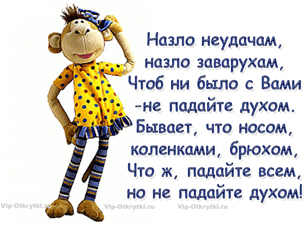 Назло неудачам назло заварухам Чтоб ни было с Вами не падайте духом Бывает что носом коленками брюхом Что ж падайте всем но не падайте духом