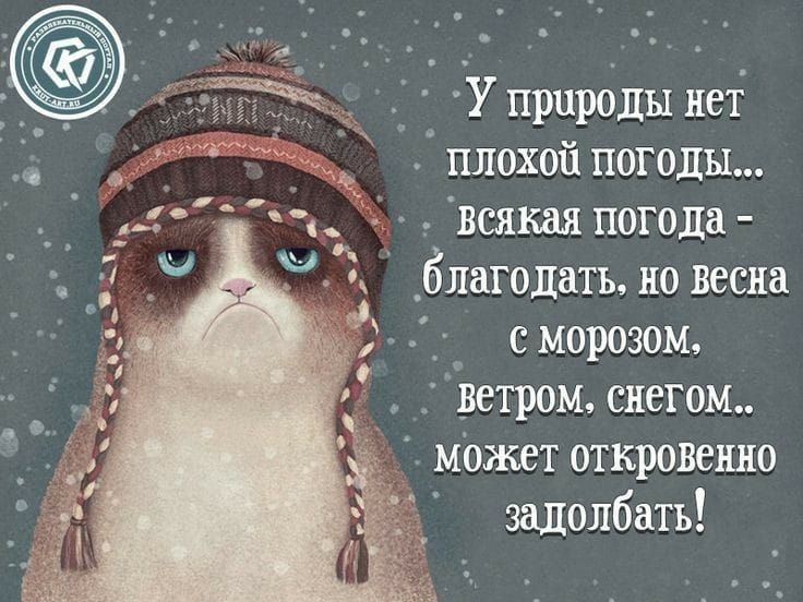 _ У природы не плохой погоды всякдя погода Благодать но весна с морозом ветром снегом можвт откровенно заполбать